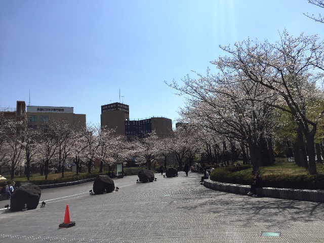 '21川崎桜中庭